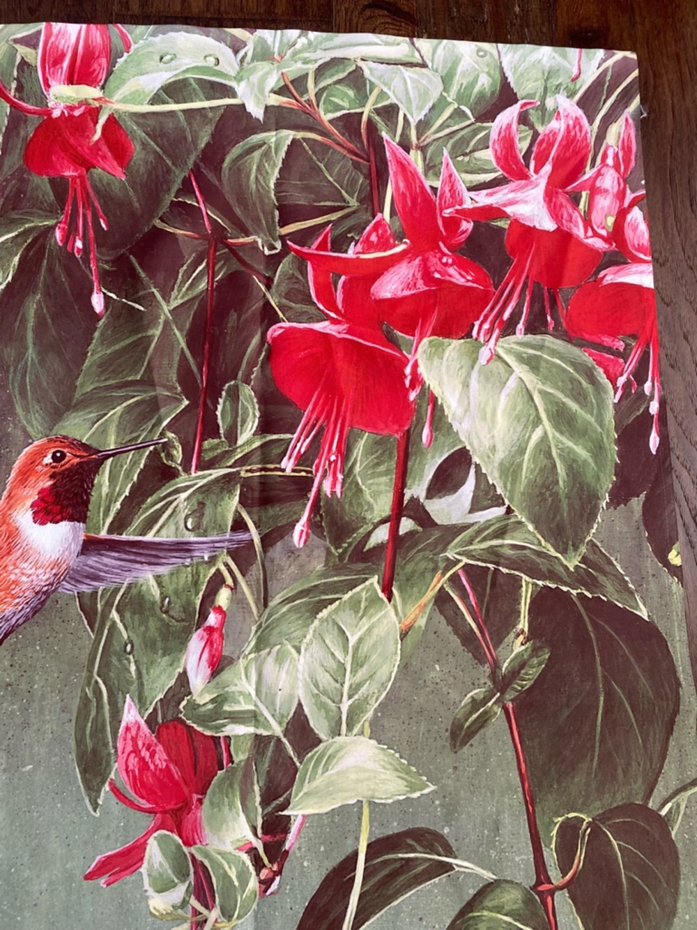 Hummingbird & Fuchsia Floral Print Xtra Large Fabric Flag Botanical 27.5x39” New - Picture 3 of 8